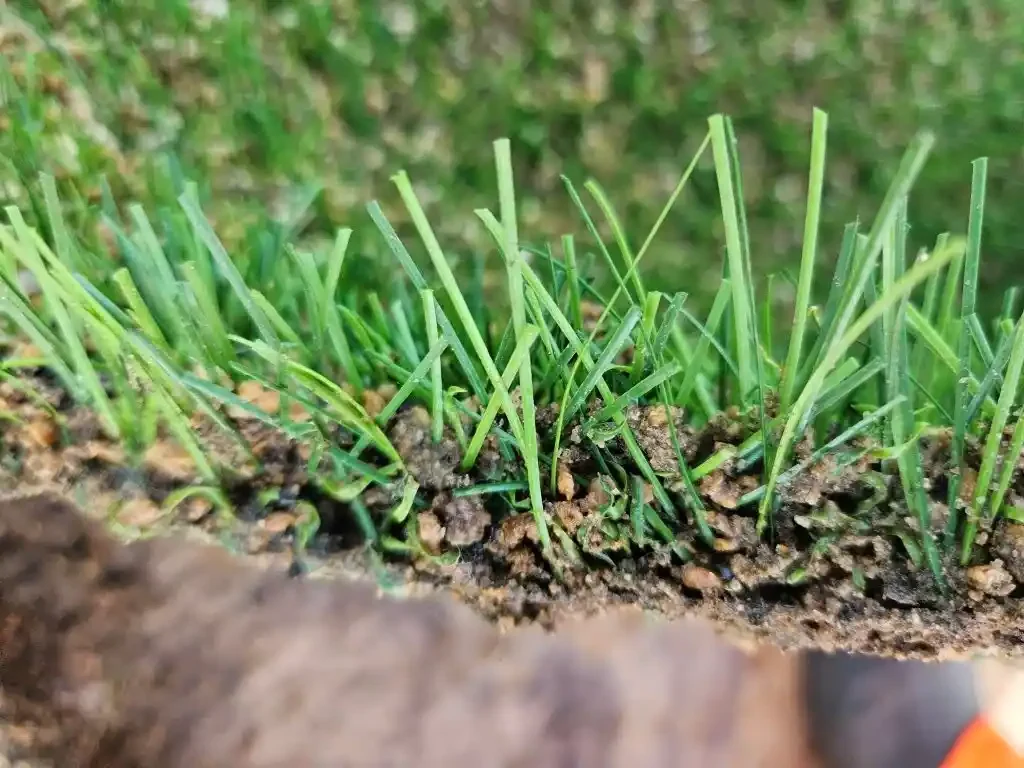 Cross-section through a 3G pitch carpet edge showing fibres above a dense compacted layer of sand and infill